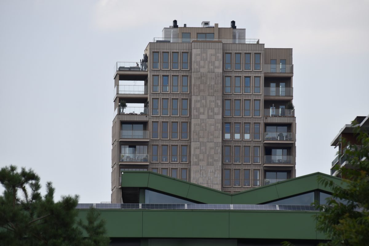 Hondsrugtoren, Flat