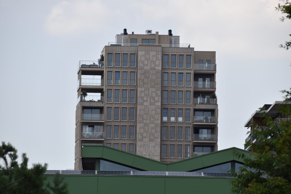 Hondsrugtoren, Flat