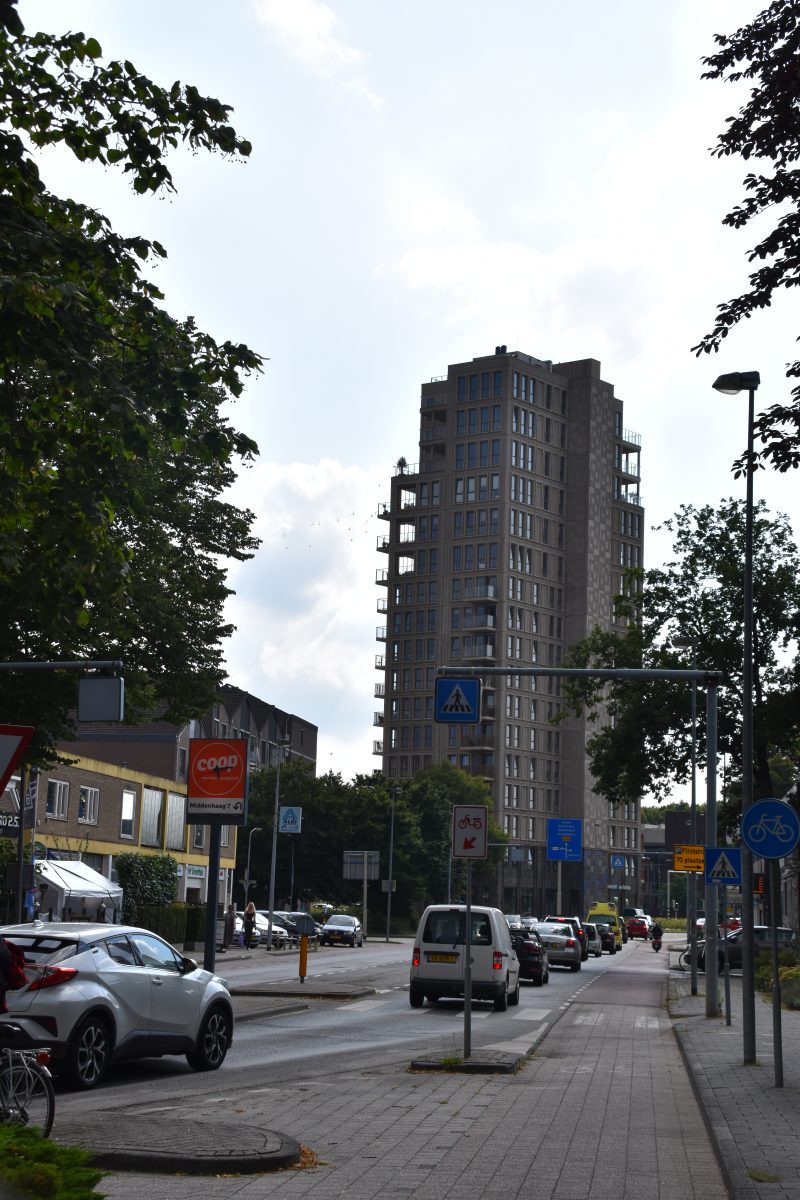 Hondsrugtoren, Flat
