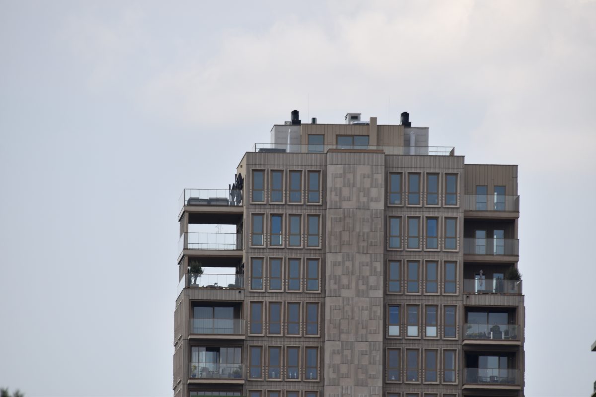 Hondsrugtoren, Flat