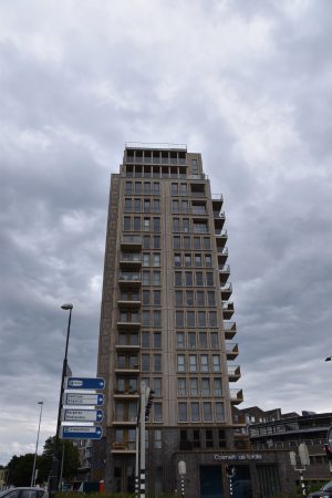 Hondsrugtoren, Flat