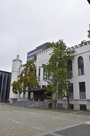 Paleis-Raadhuis, Paleizen